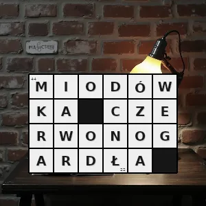 Hasło krzyżówkowe myzomela eques gatunek ptaka z rodziny miodojadów meliphagidae - miodówka czerwonogardła – rozwiązanie, synonimy, podpowiedzi i definicje krzyżówkowe